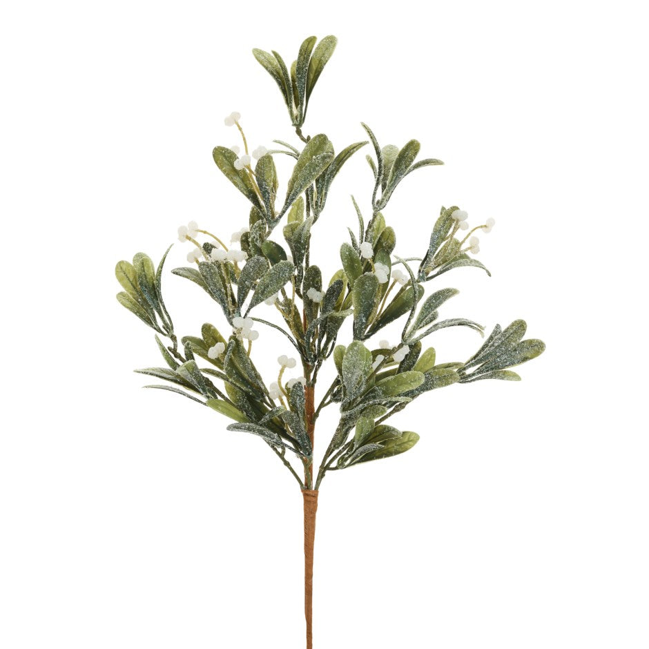 Branche gui givré, artificielle, Noël, décoration, ADV