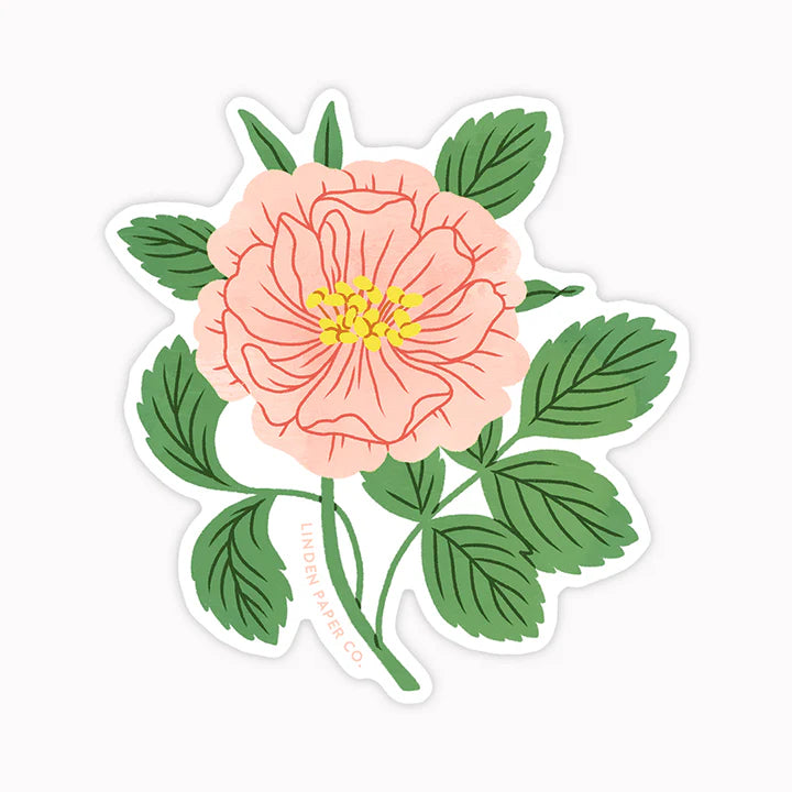 Autocollant transparent rose sauvage rose feuilles