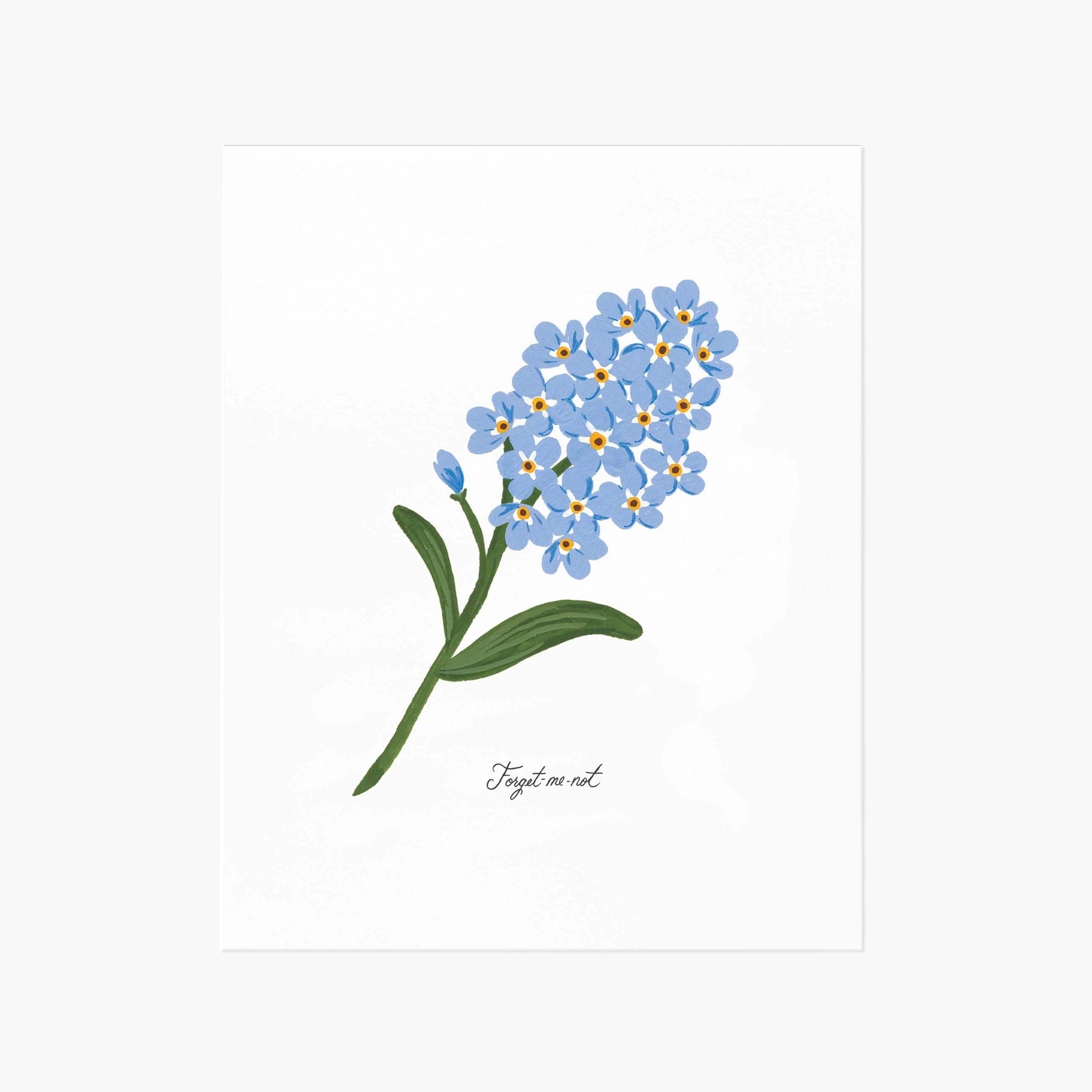 Affiche Rifle Paper Co. Fleur Myosotis 8 x 10