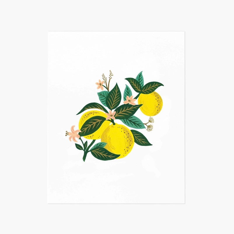Affiche Rifle Paper Co. Citron 8 x 10