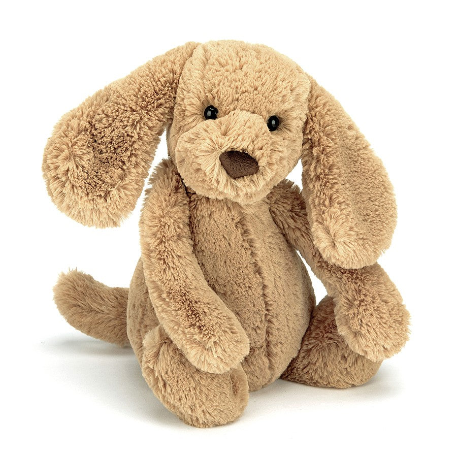 chien beige jellycat medium bashful