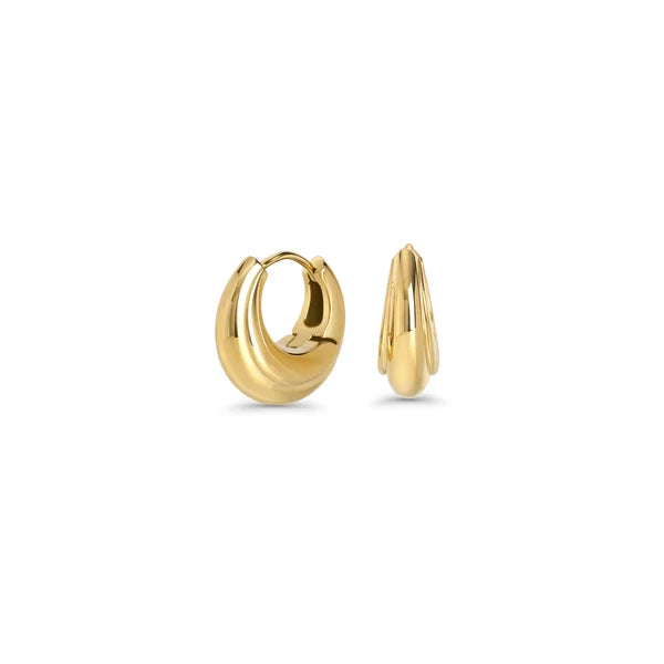 Anneaux Delphine  - Acier Inoxydable 316L - Or PVD