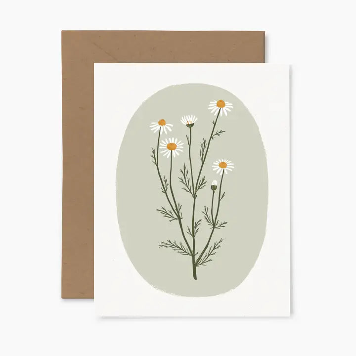 Carte souhait fleur camomille blanche jaunes vert papier fleuri Co 