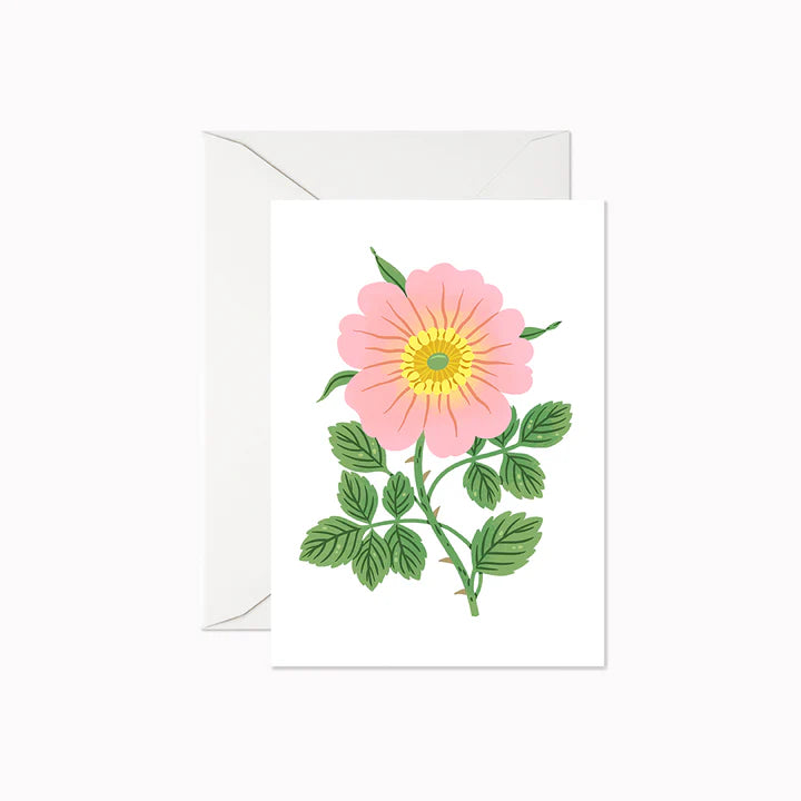 Mini carte de souhait rose sauvage rose feuilles