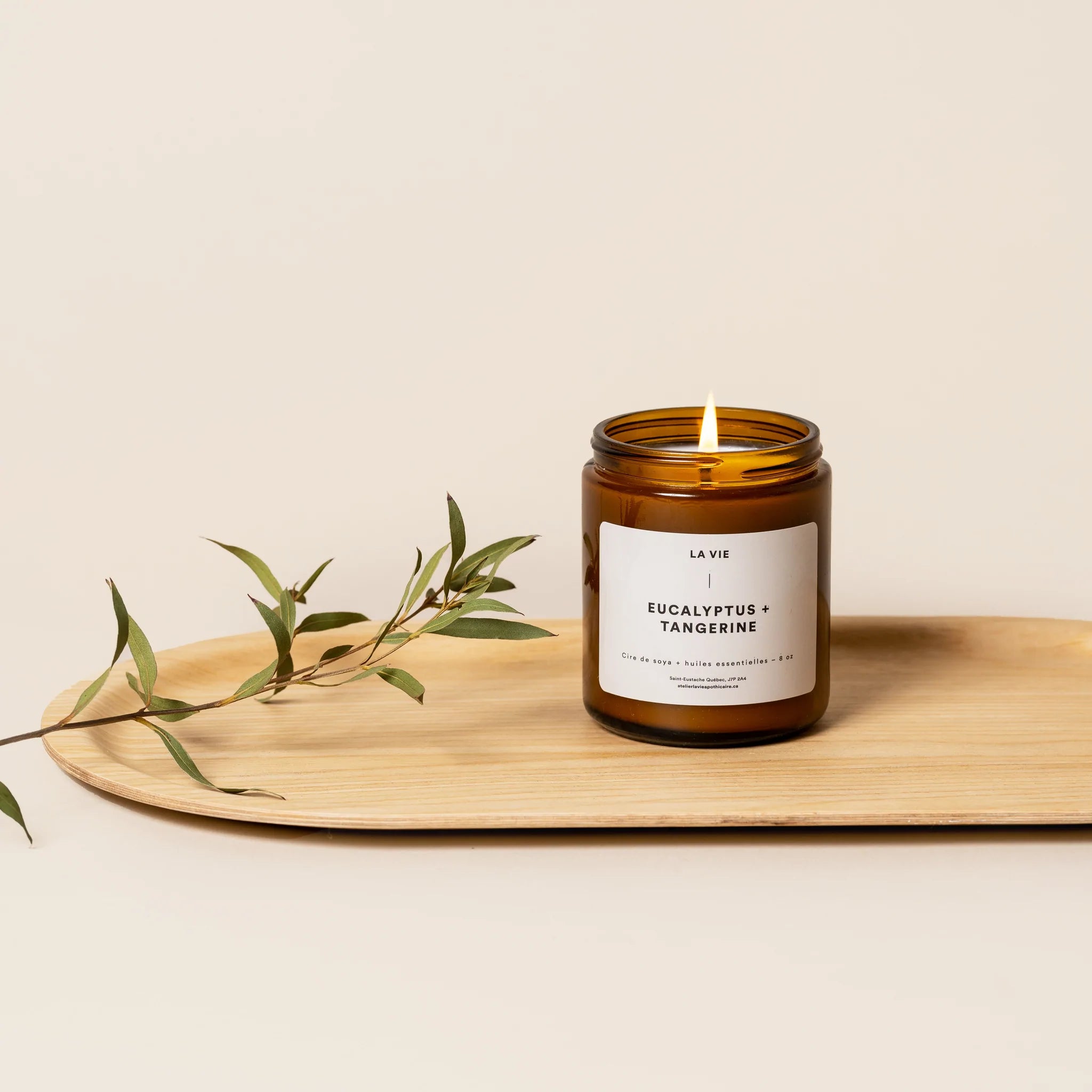 Bougie Parfumée Eucalyptus Tangerine